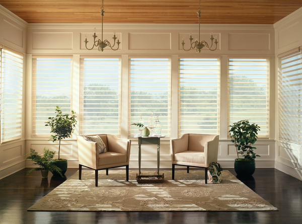 Blinds Window Treatment in Vancouver: The Perfect Solution for Your Home
