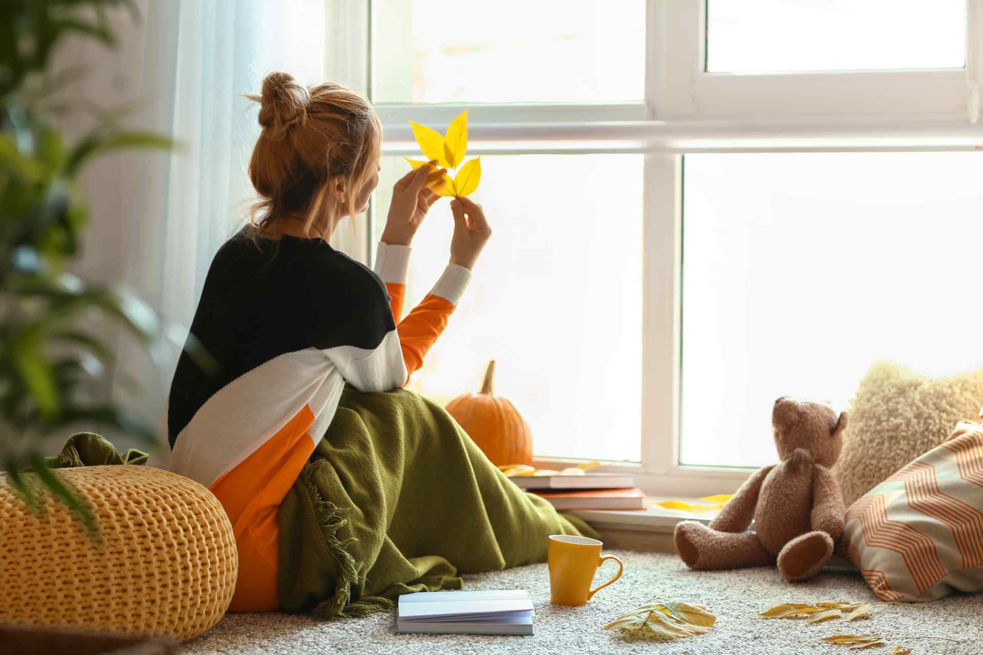 Fall window treatment in Vancouver